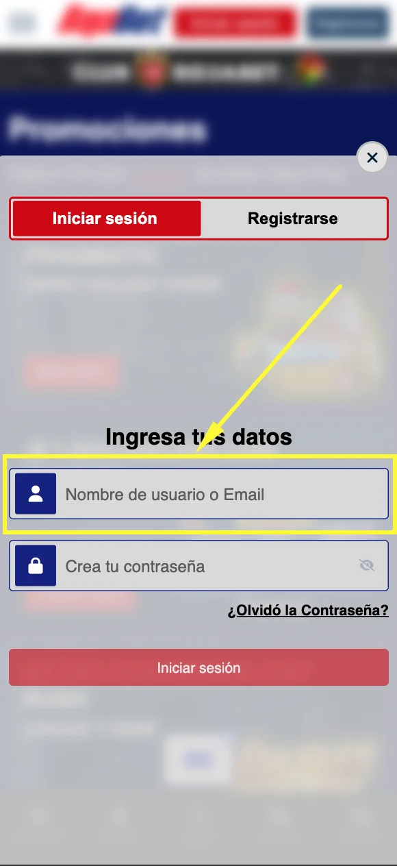 Ingresa Tu Correo Electrónico y Contraseña
