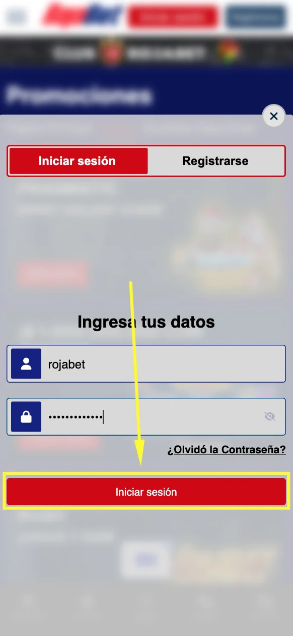 Haz Clic en “Iniciar Sesión”